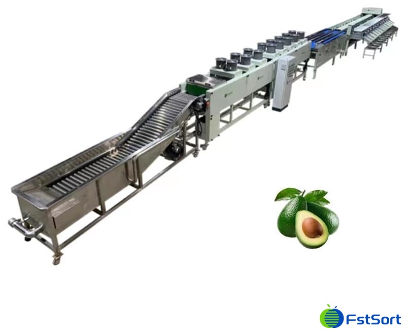 images/1666856343656Equipo de clasificación de peso de aguacate1.jpg